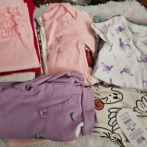 Baby Girls 12m Carters Clothing Bundle